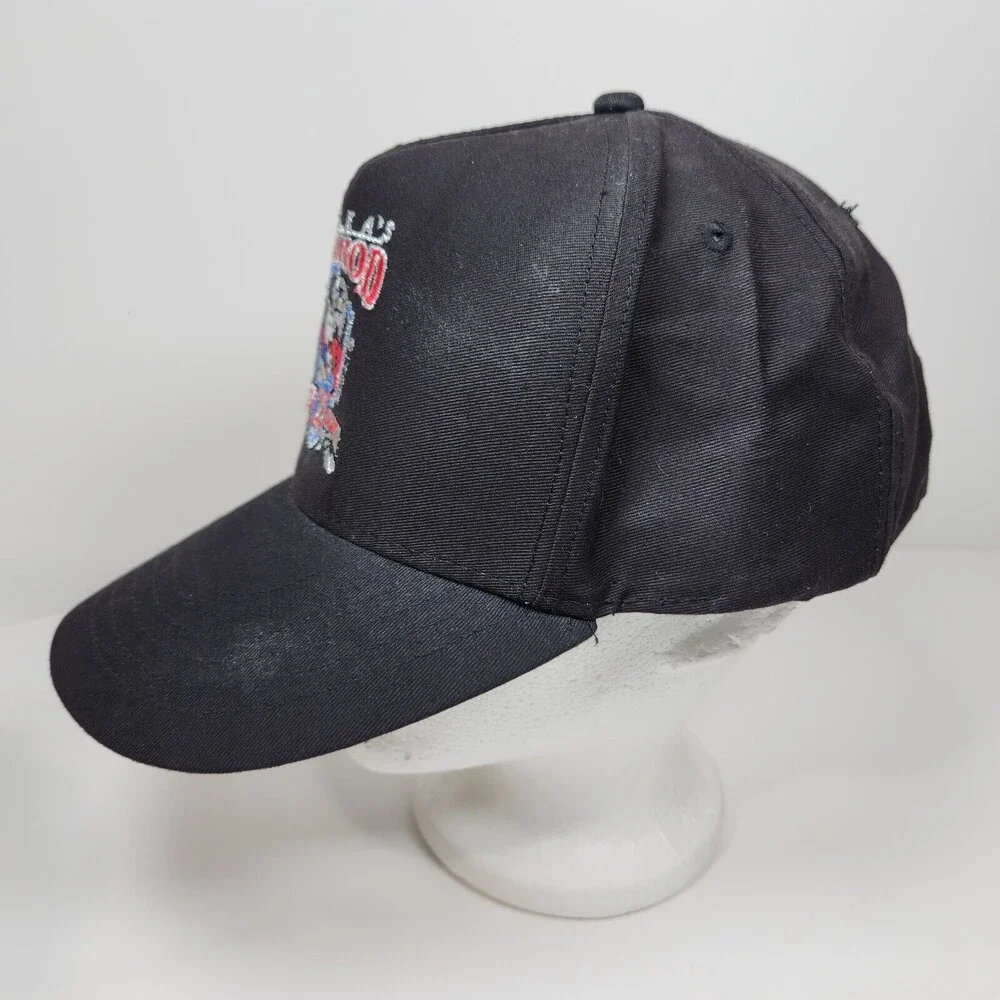VTG Alaska Iditarod 25th Anniversary Snapback Hat Cap 1997 Black Sled Dog Race